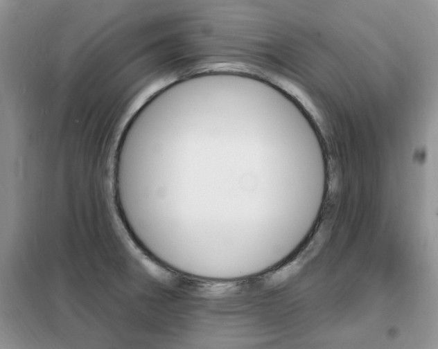 X0000102351282200808010927