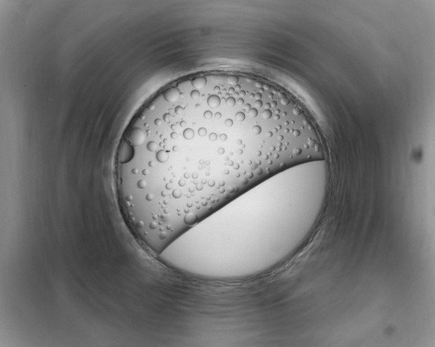 X0000102351283200808010927