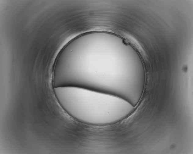 X0000102351284200808010927