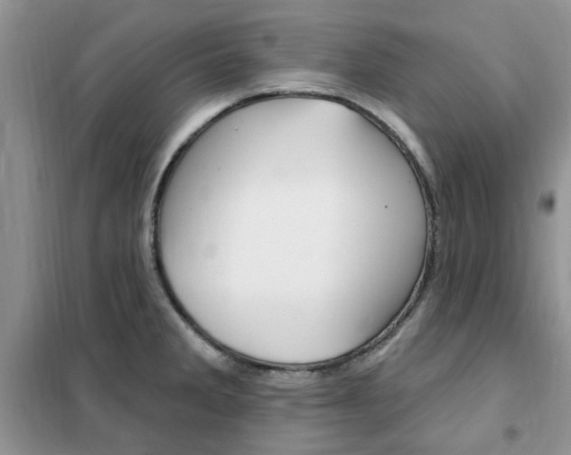 X0000102351285200808010927
