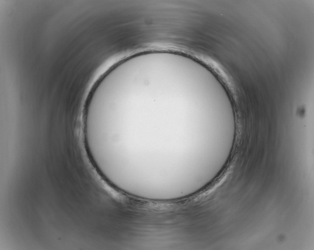 X0000102351286200808010927