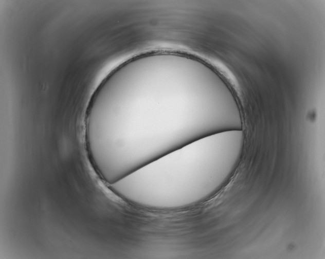 X0000102351287200808010927