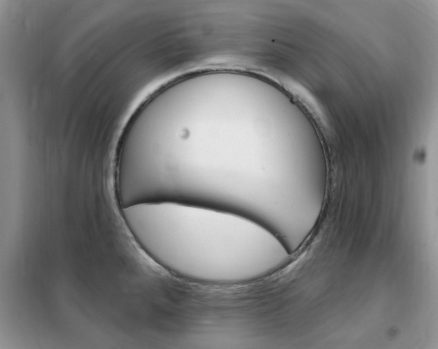 X0000102351288200808010927