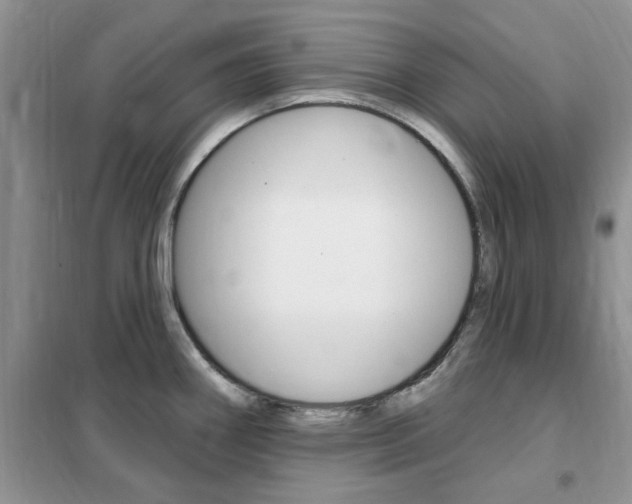 X0000102351290200808010927