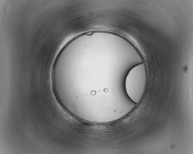 X0000102351291200808010927