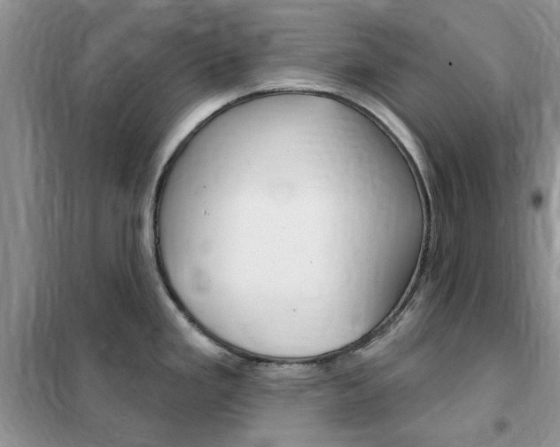 X0000102351293200808010927