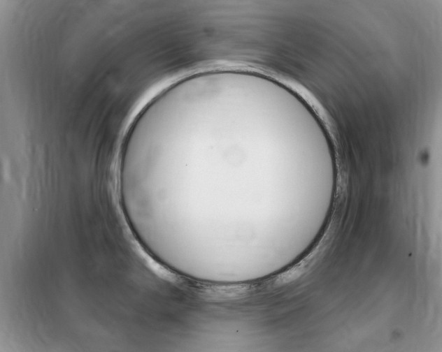 X0000102351294200808010927