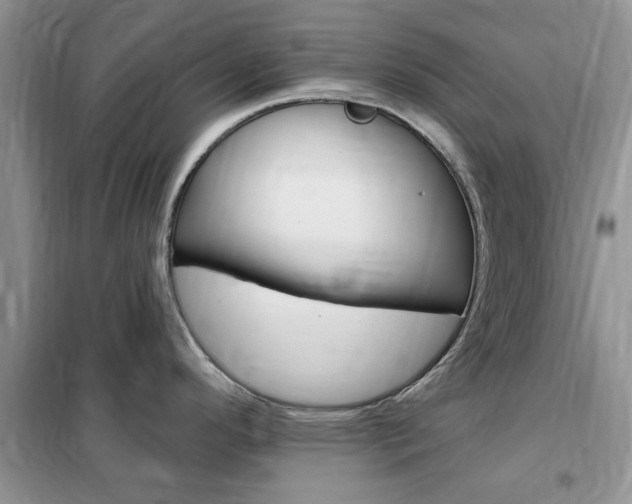 X0000102351296200808010927