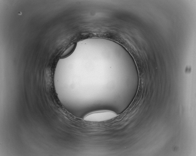 X0000102351298200808010926