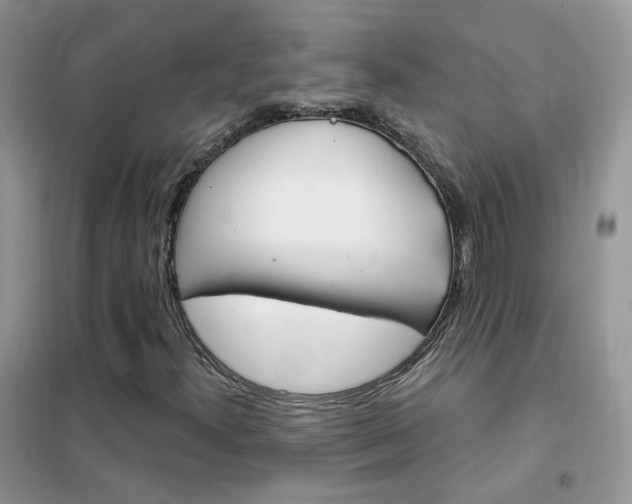 X0000102351300200808010926