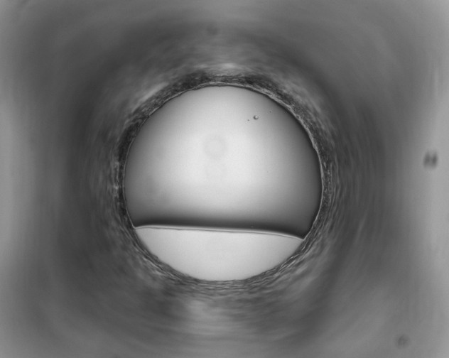 X0000102351301200808010926