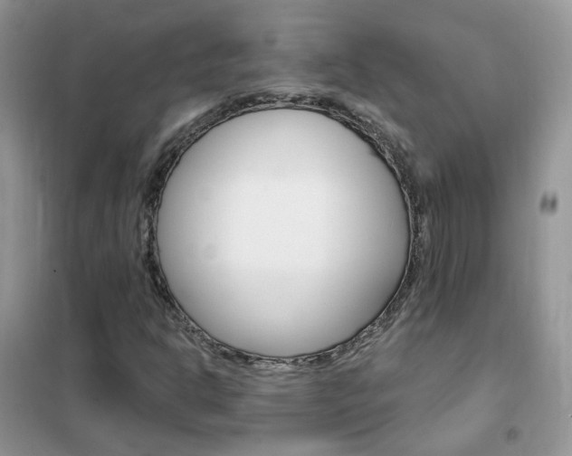 X0000102351302200808010926