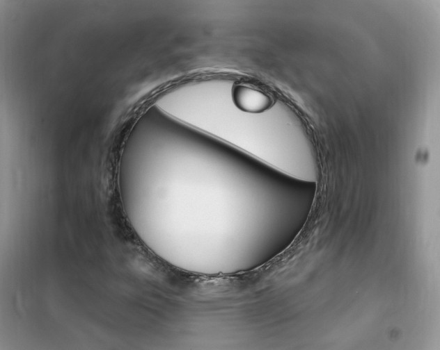 X0000102351303200808010926