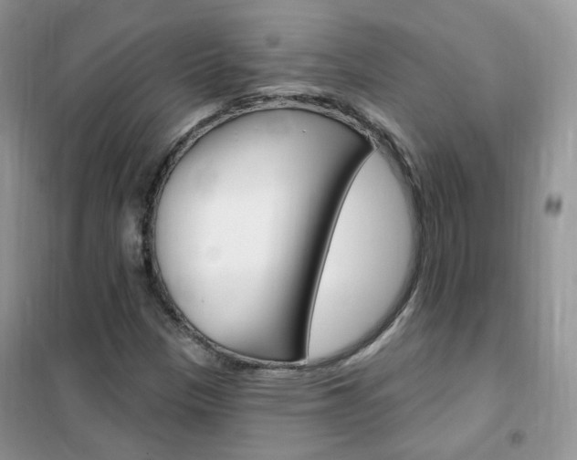 X0000102351305200808010926