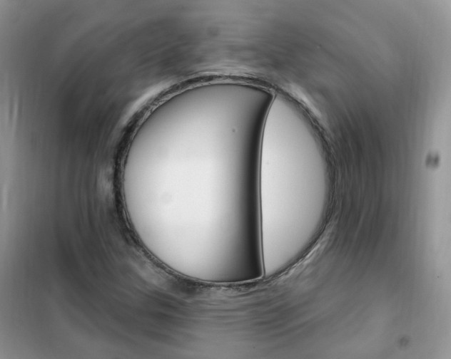 X0000102351307200808010927