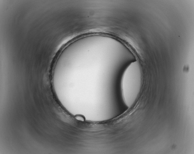 X0000102351308200808010927