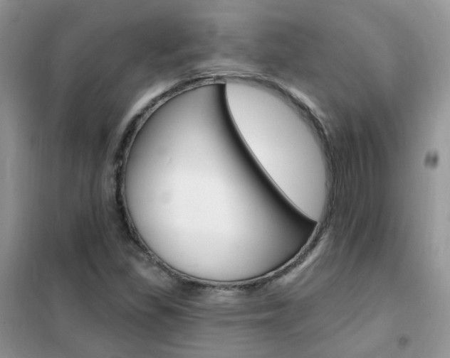 X0000102351309200808010927