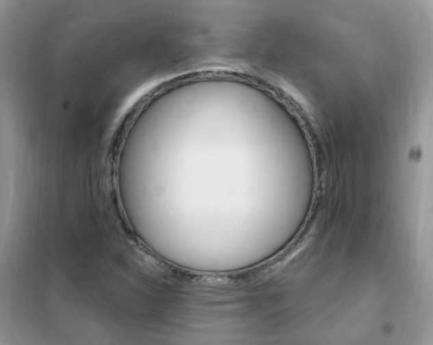 X0000102351310200808010927