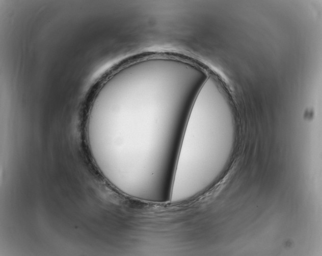 X0000102351311200808010927