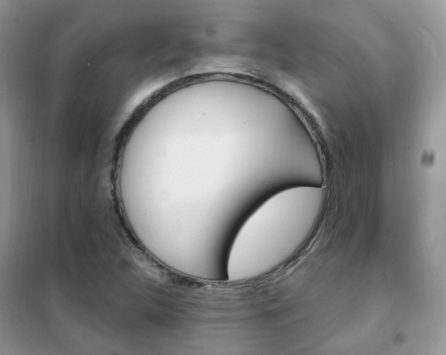 X0000102351312200808010927