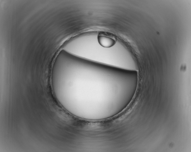 X0000102351313200808010927