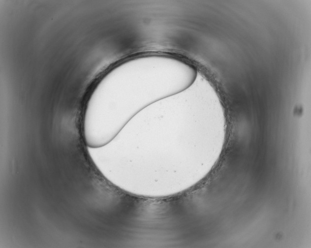X0000102351314200808010927