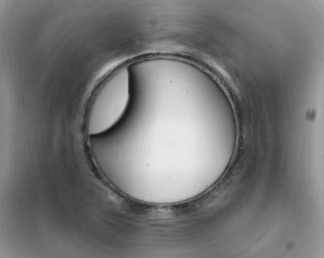 X0000102351315200808010927