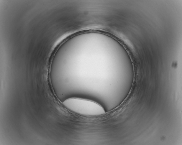 X0000102351316200808010927