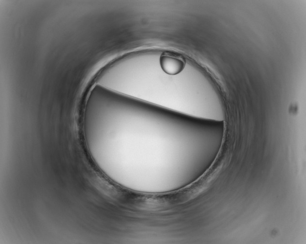 X0000102351318200808010927