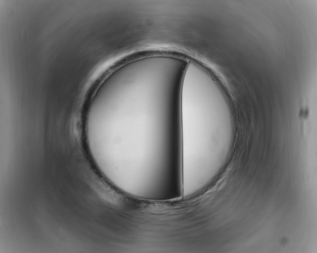 X0000102351319200808010927