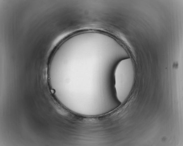 X0000102351320200808010927