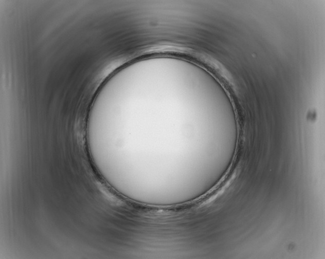X0000102351321200808010927