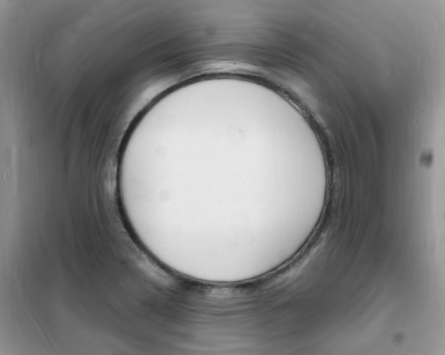 X0000102351322200808010927