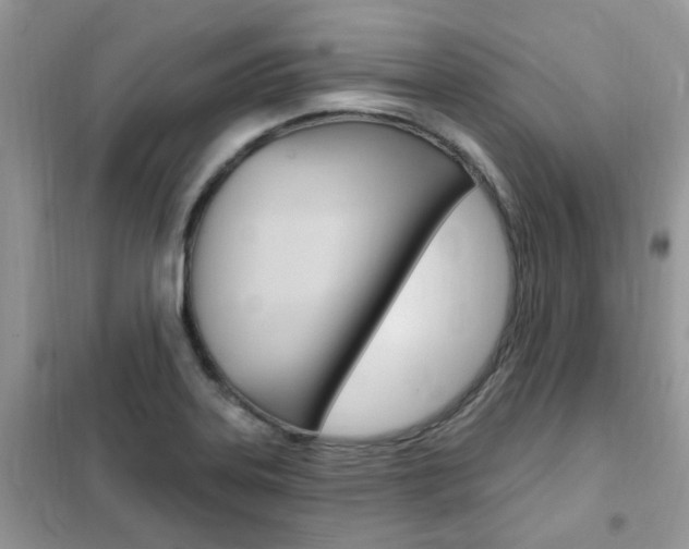 X0000102351323200808010927