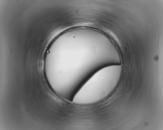 X0000102351324200808010927