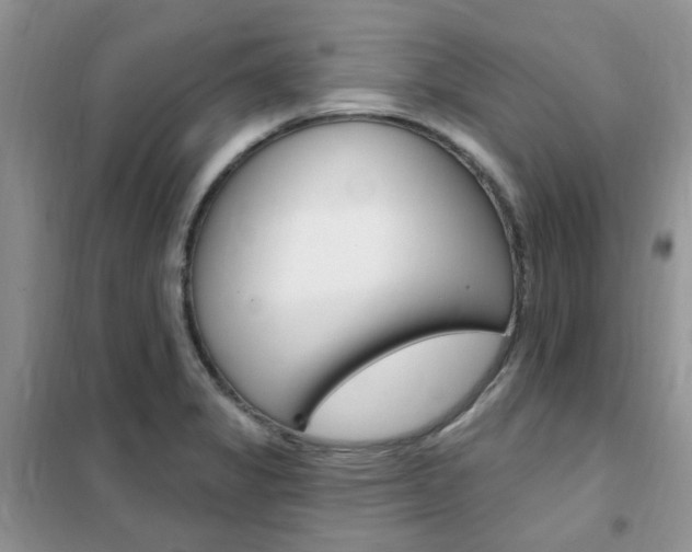 X0000102351325200808010927