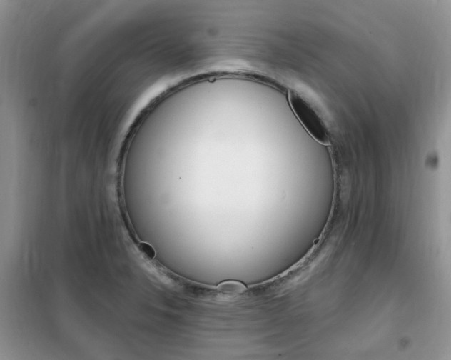X0000102351326200808010927