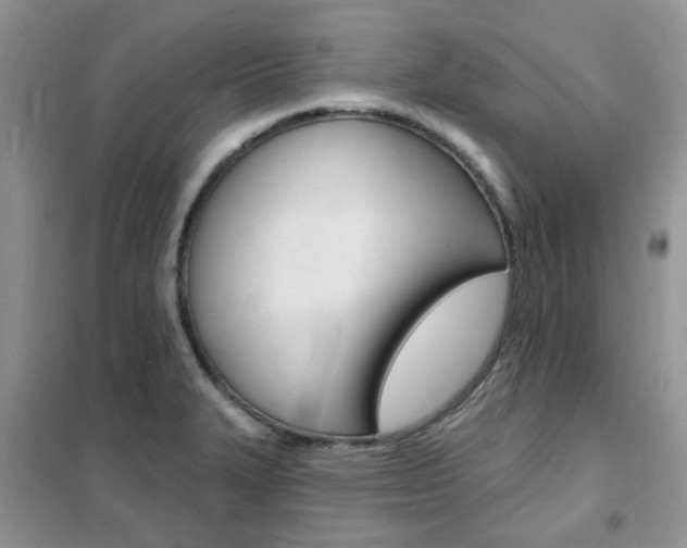 X0000102351327200808010927