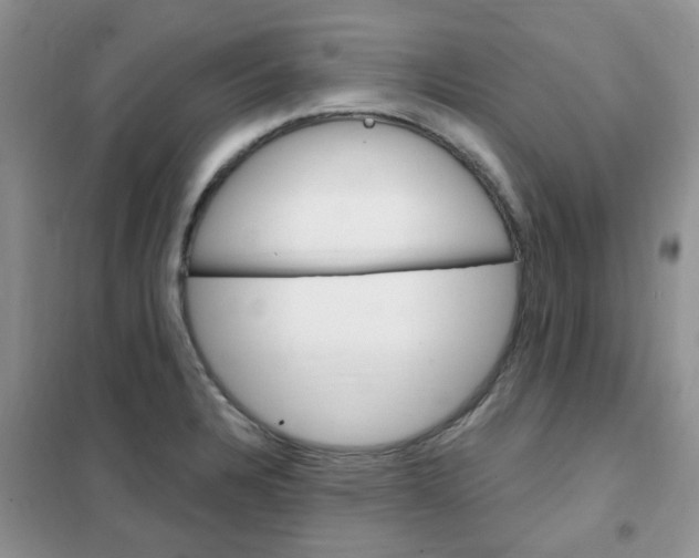 X0000102351328200808010927