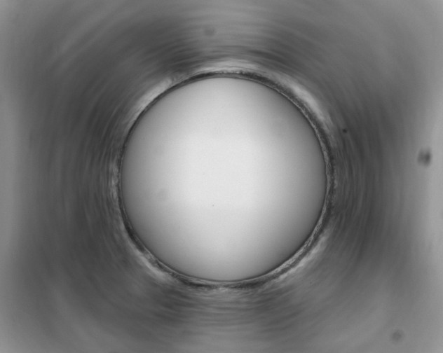 X0000102351329200808010927