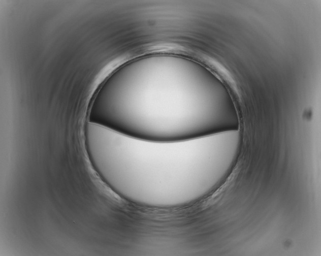 X0000102351330200808010927