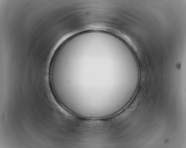 X0000102351331200808010927
