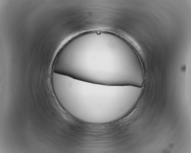 X0000102351332200808010927