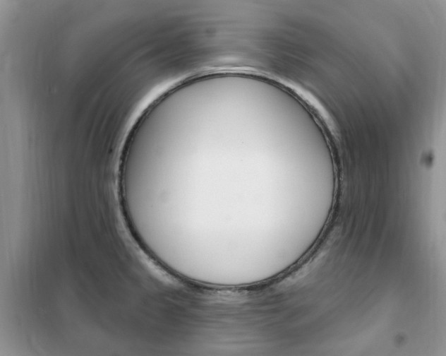 X0000102351333200808010927