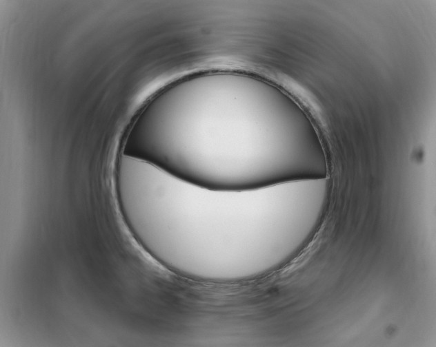 X0000102351334200808010927