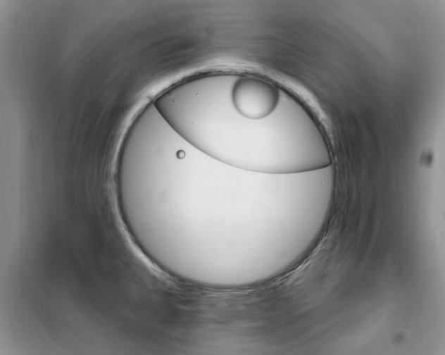 X0000102351335200808010927