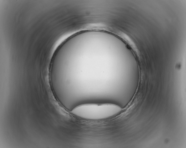 X0000102351336200808010927