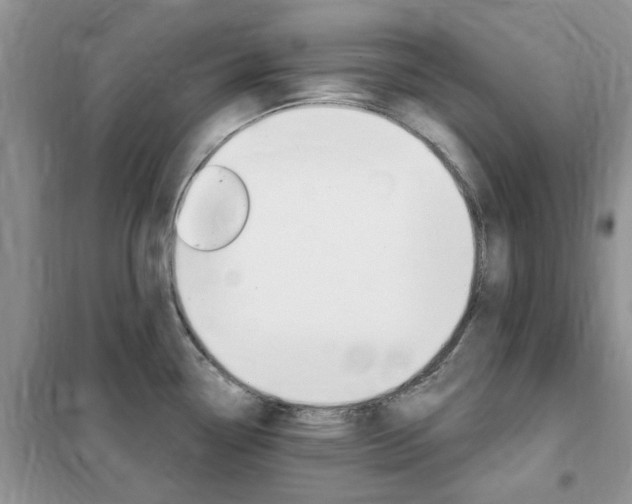 X0000102351338200808010927