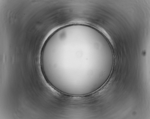 X0000102351339200808010927