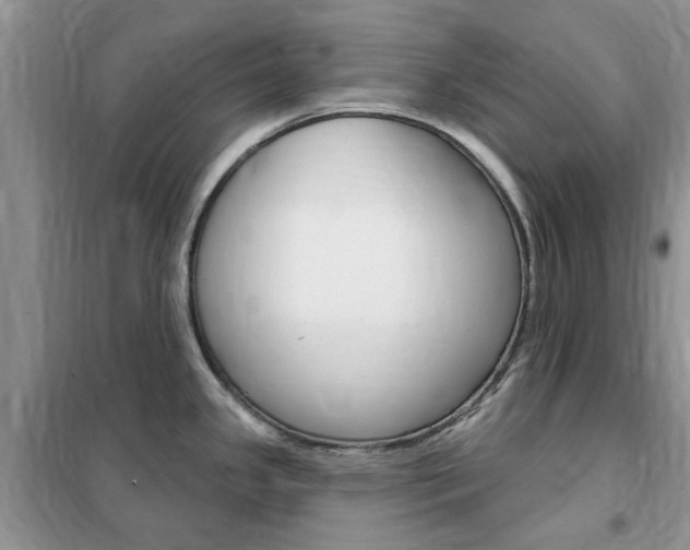 X0000102351341200808010927
